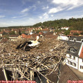 12_40-nest.jpg