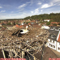 12_45-nest.jpg
