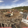 12_55-nest.jpg