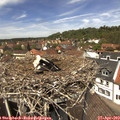 13_00-nest.jpg