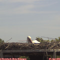 13_05-mast.jpg