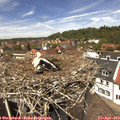13_05-nest.jpg