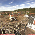 13_10-nest.jpg