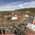 13_25-nest.jpg