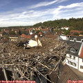 13_30-nest.jpg