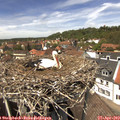 13_35-nest.jpg