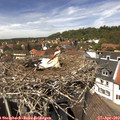 13_40-nest.jpg