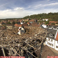 14_00-nest.jpg