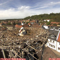 14_05-nest.jpg
