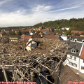 14_10-nest.jpg