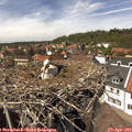 14_15-nest.jpg