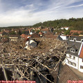 14_20-nest.jpg
