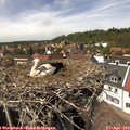 14_25-nest.jpg