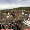 14_40-nest.jpg