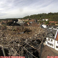 15_05-nest.jpg