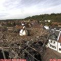 15_10-nest.jpg