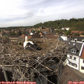 15_30-nest.jpg