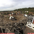 15_35-nest.jpg