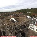 15_45-nest.jpg