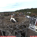 15_55-nest.jpg
