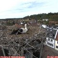 16_00-nest.jpg
