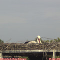 16_35-mast.jpg