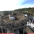 18_20-nest.jpg