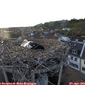 20_15-nest.jpg