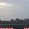 06_10-mast.jpg