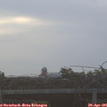 06_15-mast.jpg