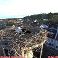 06_35-nest.jpg