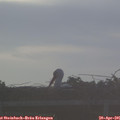 06_40-mast.jpg