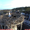 06_40-nest.jpg