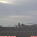 06_45-mast.jpg