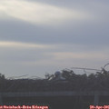 06_55-mast.jpg