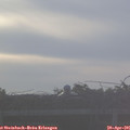 07_00-mast.jpg