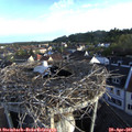 07_00-nest.jpg