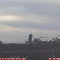 07_10-mast.jpg