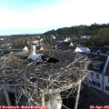 07_10-nest.jpg