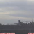 07_15-mast.jpg