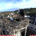07_30-nest.jpg