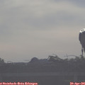 07_55-mast.jpg