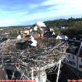08_00-nest.jpg