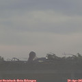 08_05-mast.jpg