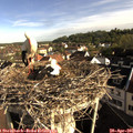 08_15-nest.jpg