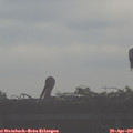08_25-mast.jpg