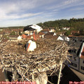 09_55-nest.jpg
