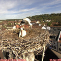 10_00-nest.jpg