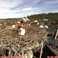 10_05-nest.jpg