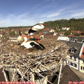 11_25-nest.jpg